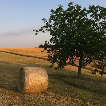 La Cordilliere Laveraët