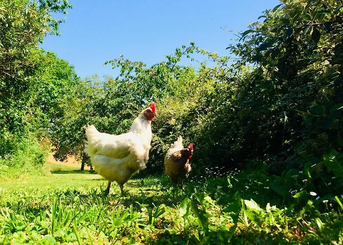 Penzion La Cordilliere 3*