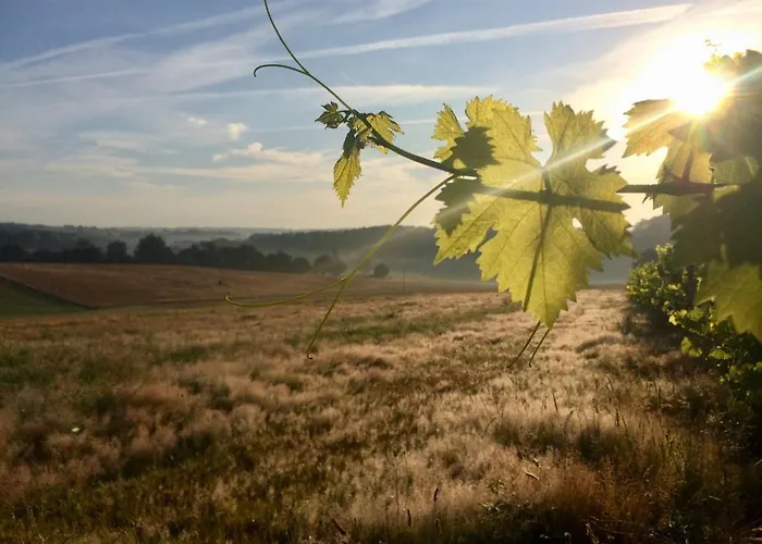 Penzion La Cordilliere 3*