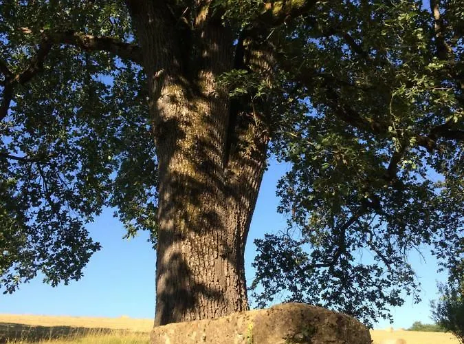 La Cordilliere Penzion 3*