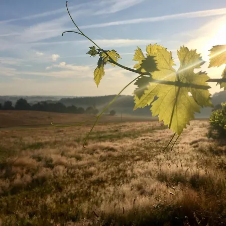 招待所 La Cordilliere 3*