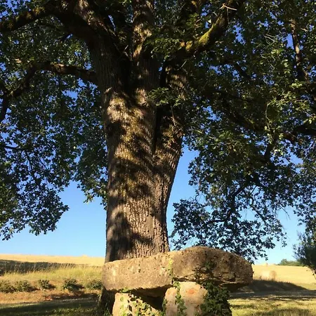 La Cordilliere 招待所 3*